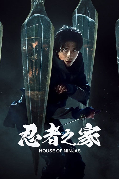 忍者之家电影海报