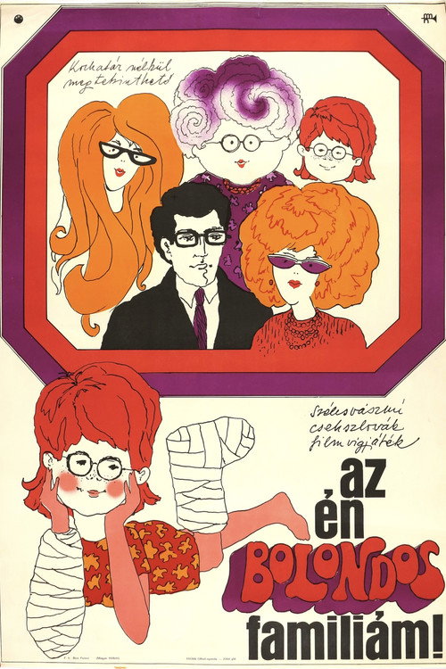 Naše bláznivá rodina poster 4