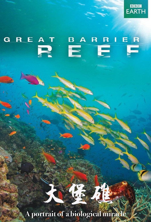 大堡礁电影海报