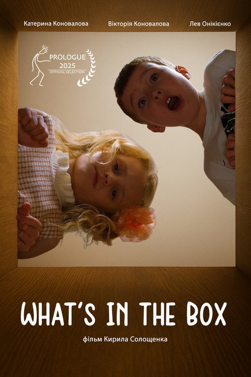 Poster for What`s in the box