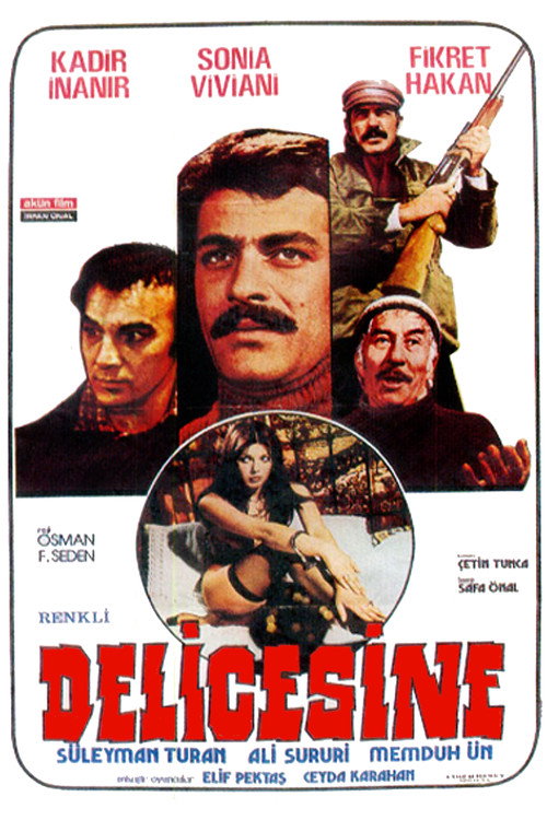 Delicesine poster 2