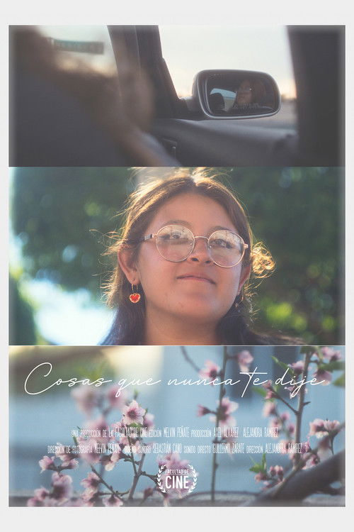 Things I Never Told You