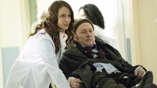 Person of Interest - 21. Bölüm