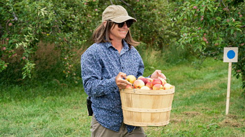 How Do You Like Them Apples?