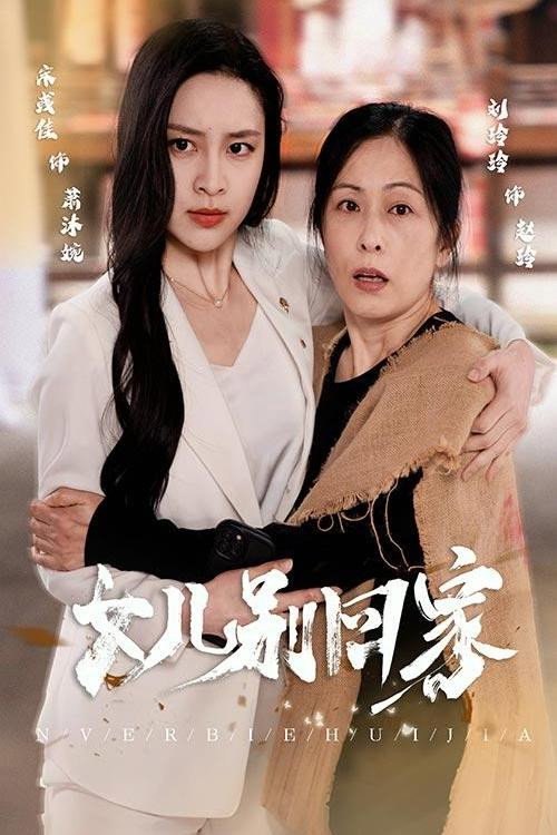 女儿别回家电影海报