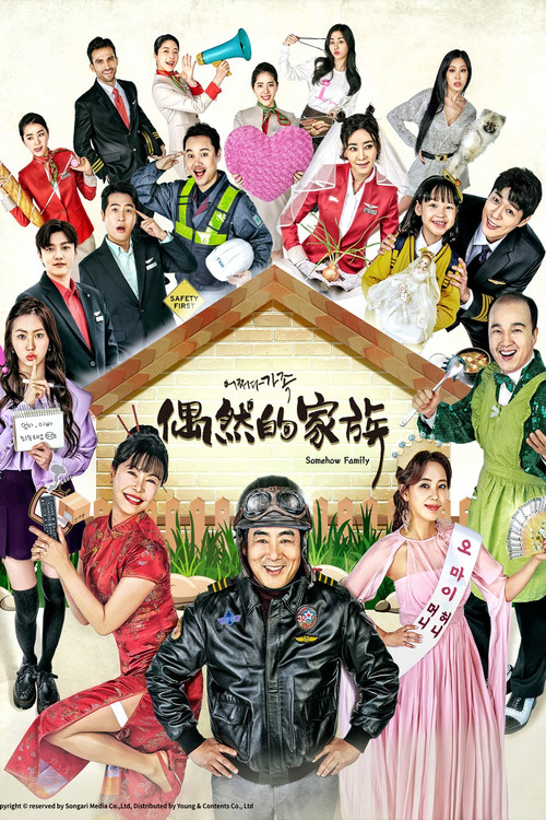 偶然家族电影海报