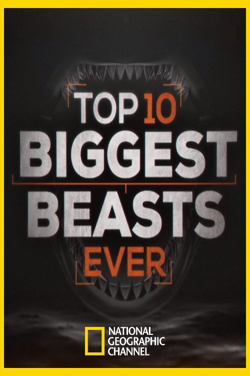 Top 10 biggest beast ever 2015 Top 10 biggest beast ever 2015