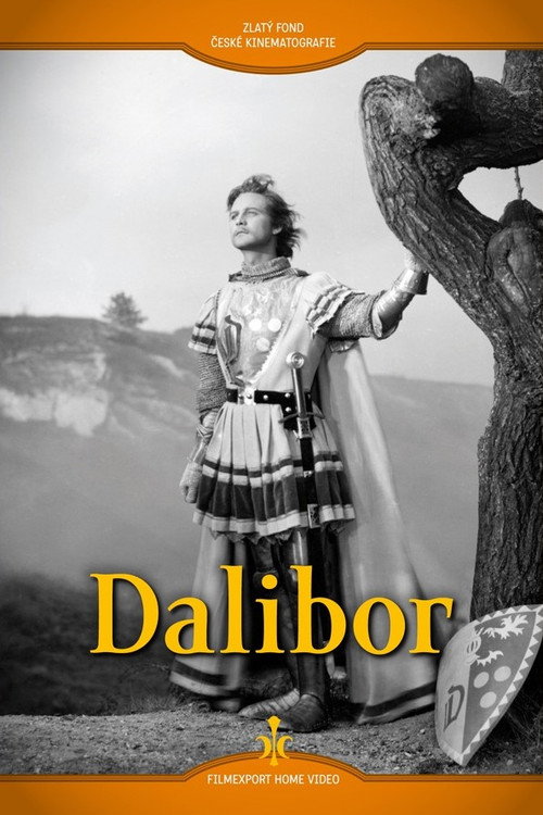 Dalibor poster 4