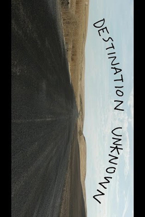 Anti Hero - Destination Unknown poster 2