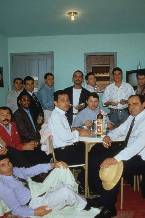 Os Raimundos, os Severinos e os Franciscos电影海报