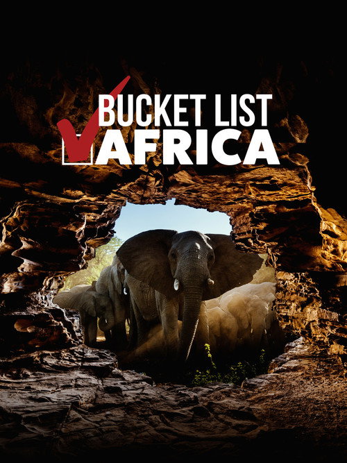 Bucket List: Africa's poster