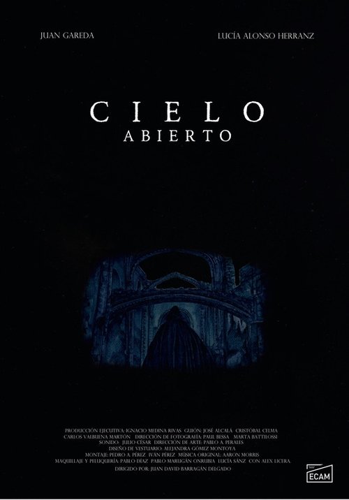 Cielo Abierto poster