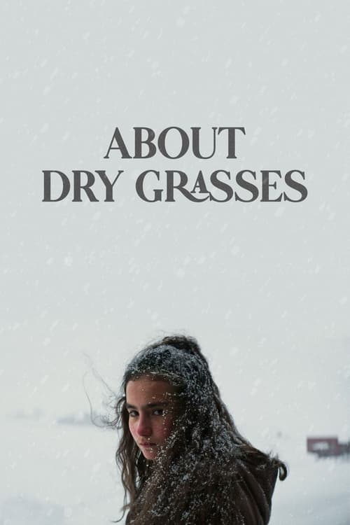 About Dry Grasses