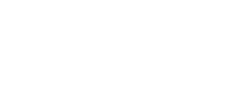 BODY OF LIES Logo
