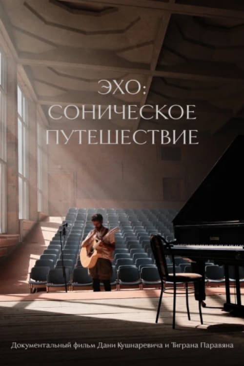 Эхо: Соническое путешествие poster