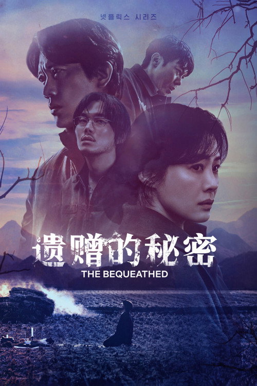遗赠的秘密电影海报