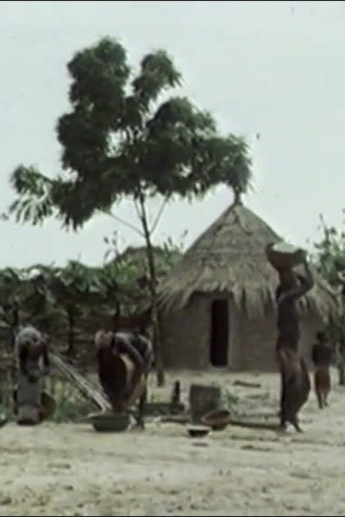 Subsister en savane