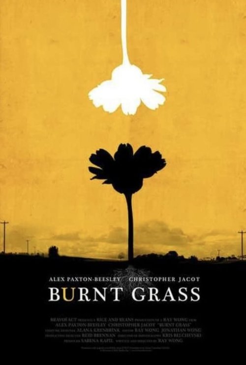 Burnt+Grass