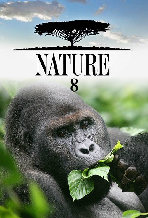 Temporada 8