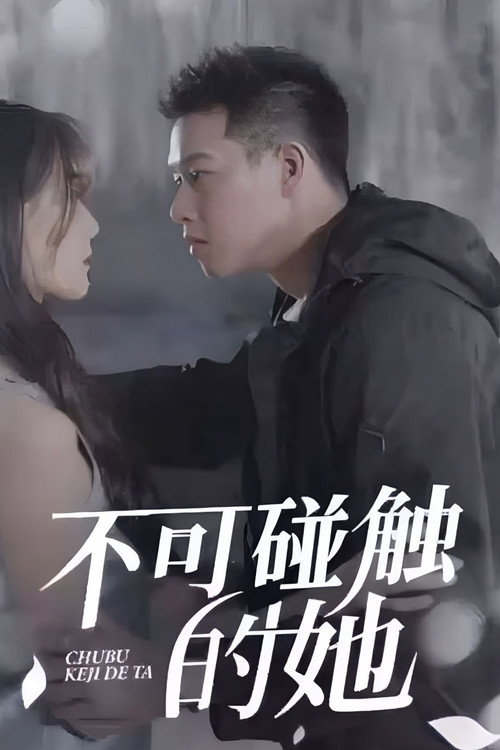 不可碰触的她电影海报