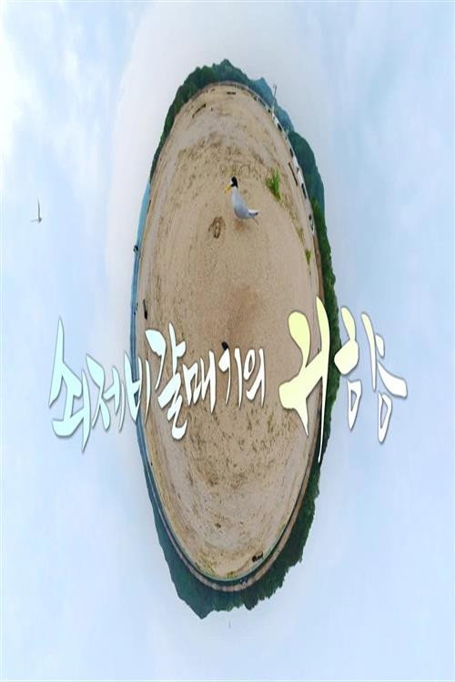 UHD추석 특집 다큐 쇠제비갈매기의 귀향电影海报