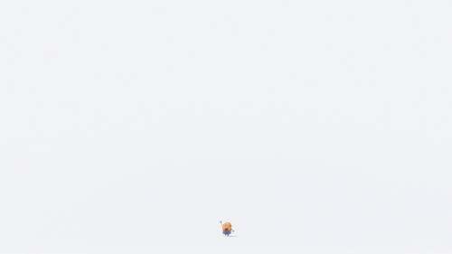 image17