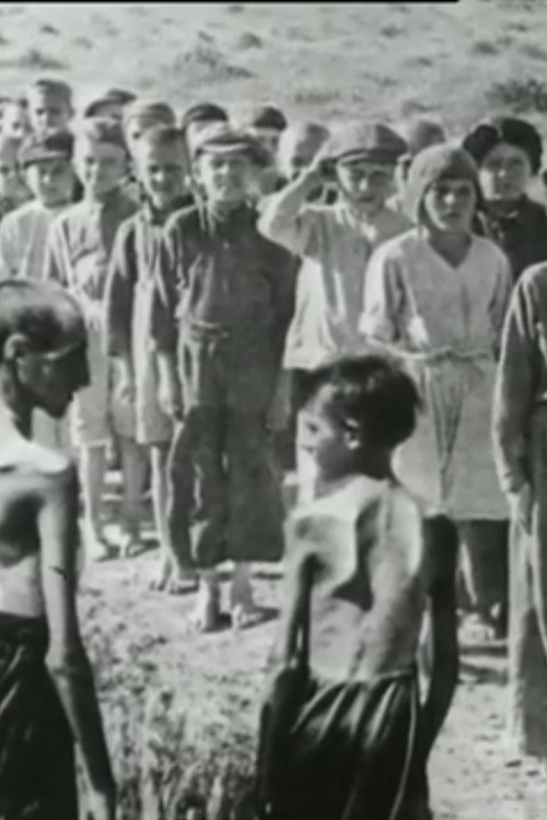 The Story of Seven-Hundred Polish Children