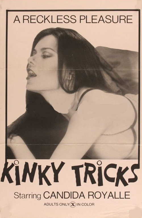 Kinky Tricks poster 2