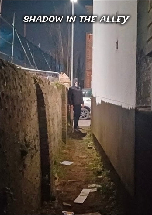 Shadow in the alley Poster
