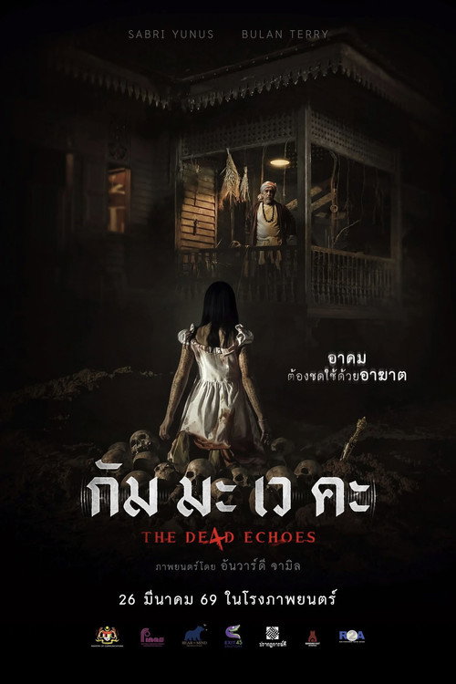 The De4d Echoes poster 5