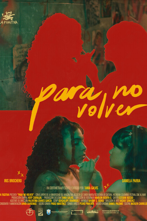 Para no regresar's poster