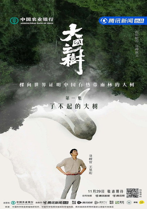 大国之树 poster 2