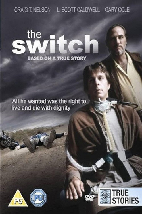 The Switch poster 4