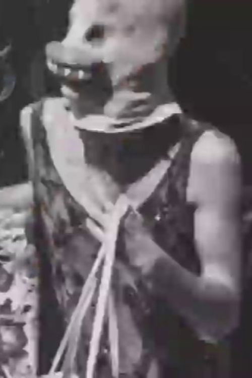 Pissed Off Trannies: Zap 1