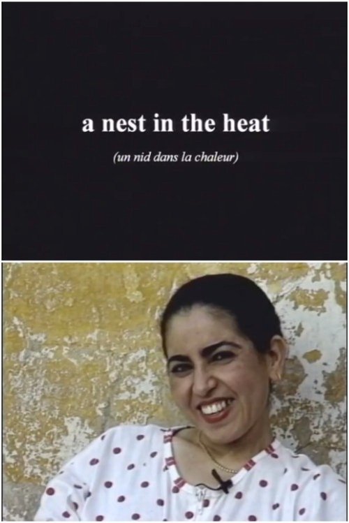 Boujad%3A+A+Nest+in+the+Heat