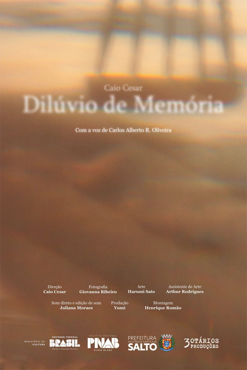 Dilúvio de Memória