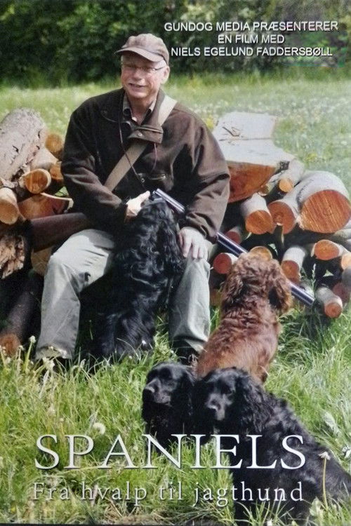 Spaniels - fra hvalp til jagthund