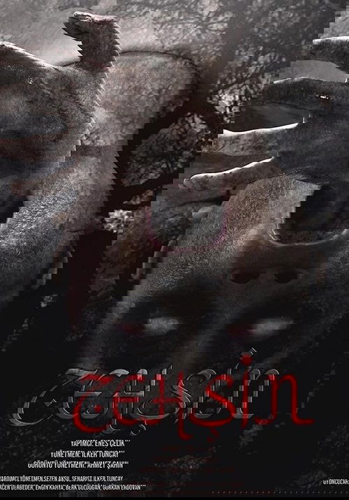 Zehşin Cin-i Musallat Poster