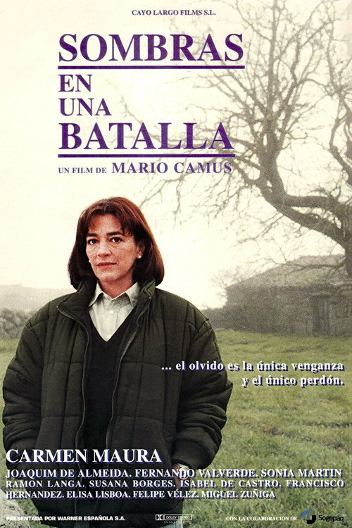 Shadows in a Conflict poster 2