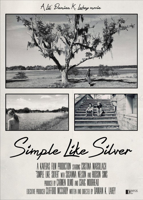 Simple Like Silver poster 3