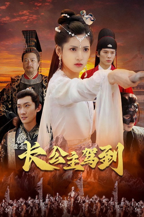 长公主驾到电影海报