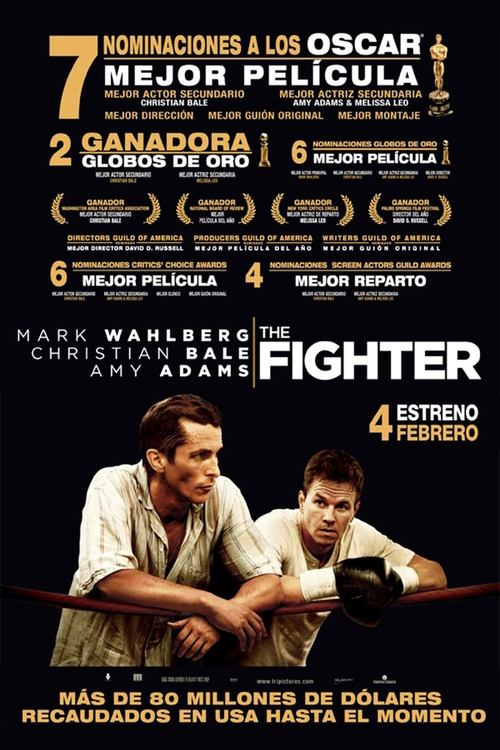 The Fighter Poster
