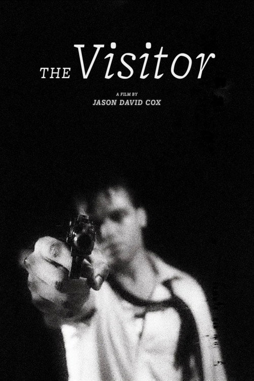 The Visitor