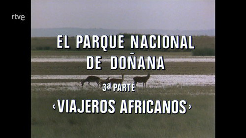 Doñana National Park III