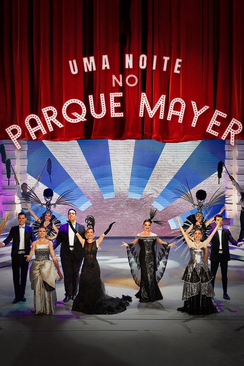 Uma Noite no Parque Mayer Poster