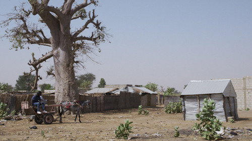 image1