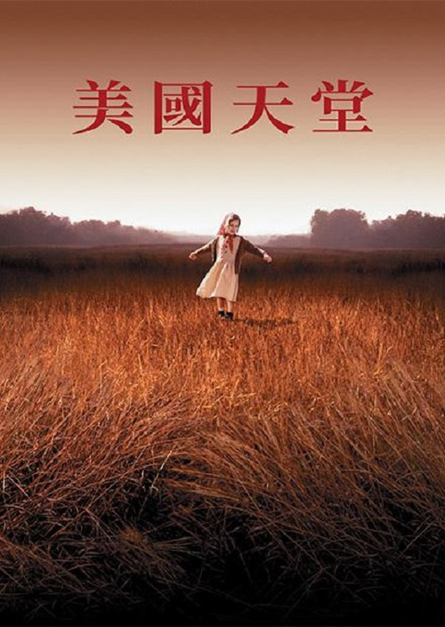 美国狂想曲电影海报