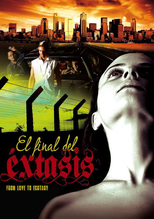 Al final del &eacute;xtasis电影海报