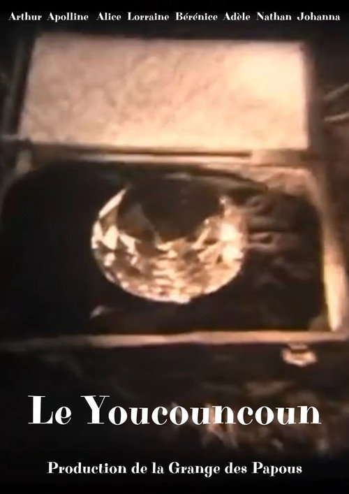 Le youcouncoun电影海报