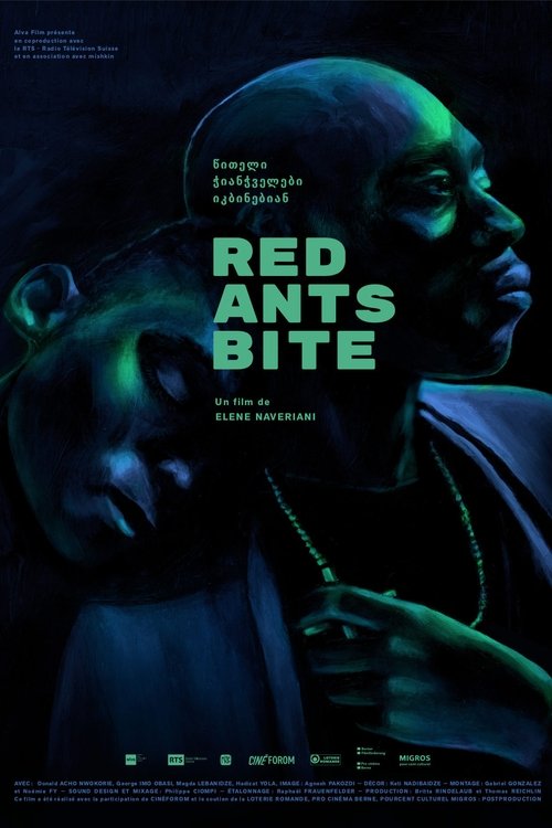 Red Ants Bite